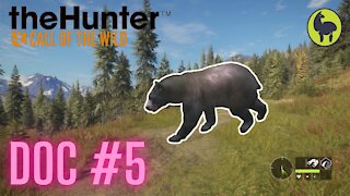 The Hunter: Call of the Wild, Doc #5