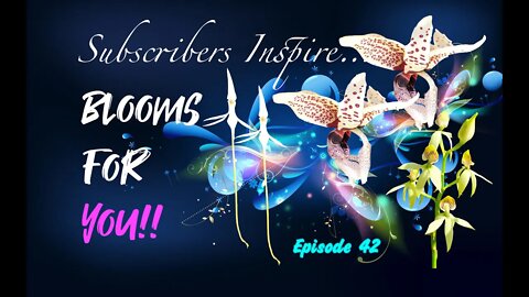 SUBSCRIBERS INSPIRE| You color my life | Blooms for YOU! Episode 42 🌸🌺🌼💐#Orchids #OrchidsinBloom