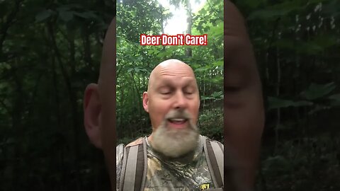 Deer Don’t Care! #deerhunting #bowhunting #deer #whitetaildeer #deerseason # #shooting