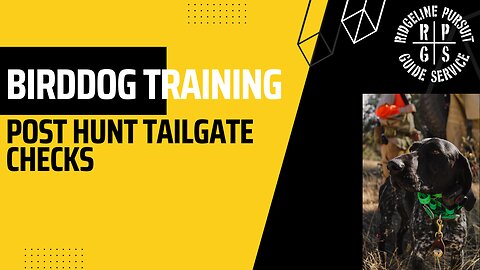 Bird Dog Training - Post Hunt Tailgate Checks