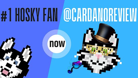 From The Number One Hosky Fan to @CardanoReview Plus more Catsky AI news