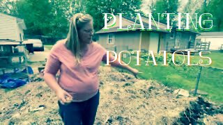 Planting Potatoes | Sovereign Provisions