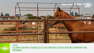 Clark County Saddle Club creates evacuation center for horses