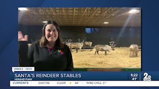 Shout Out: Santa's Reindeer Stables