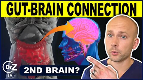 This Is Why Your Brain Doesn't Work