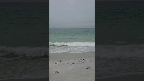 Gulf of Mexico, Boca Grande, Gasparilla Beach November 17th 2023. ⛱️