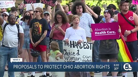 2 abortion rights coalitions seek, separately, to codify abortion rights