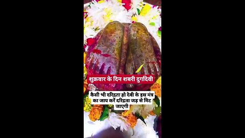 कैसी भी दरिद्रता हो देवी के इस मंत्र का जाप करें दरिद्रता जड़ से मिट जाएगी..!