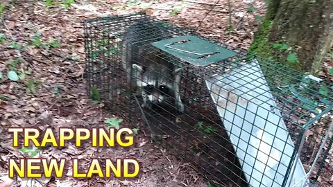 The BLIND Trap Line S .1 E .1. Trapping new land!