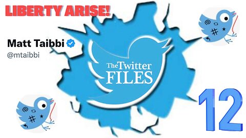 The Twitter Files 12