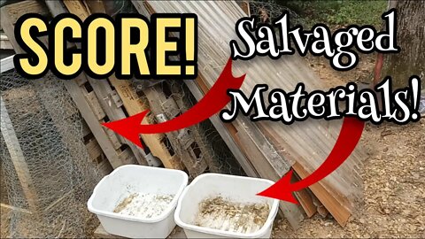 SCORE! Salvaged Materials! - Ann's Tiny Life and Homestead