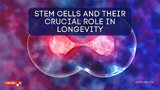 The Study of Longevity: Stem Cells Play a Crucial Role