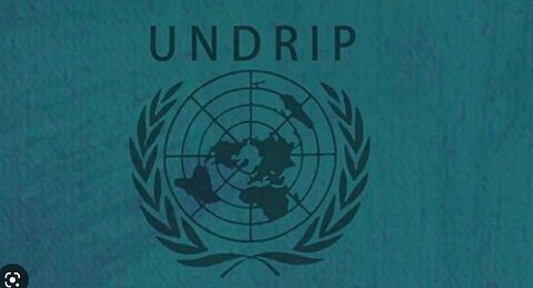 The UN New World Order Officially Just Captured Vancouver, BC, Canada With "UNDRIP"