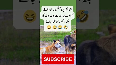 Excuse me to DOG | interesting facts | funny quotes | joke in Urdu