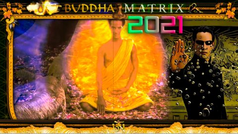 Buddha Matrix 2021