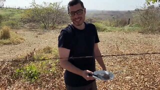 The failed attempt to prove Surströmming in Brazil