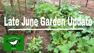 Late June Garden Update