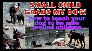 Full Video! How to teach your dog to be safe around children