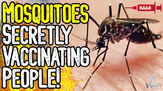 GMO MOSQUITOES SECRETLY VACCINATING PEOPLE? - Shocking Report Exposes Possible BIOWEAPON!