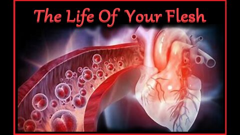THE LIFE OF YOUR FLESH *SPECIAL FROM CHUCK DIETLIN #1
