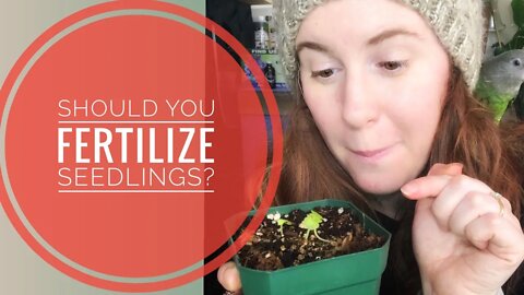 SHOULD YOU FERTILIZE SEEDLINGS? A SOIL SCIENTISTS OPINION ON WHEN AND HOW TO FERTILIZE SEEDLINGS 🌱