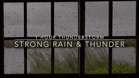 Heavy Rain No Thunder - Heavy Rain Without Thunder - Rain Sounds For Sleep