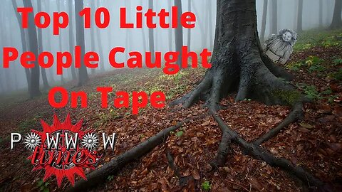 Top 10 Little People Caught On Tape | Powwow Times