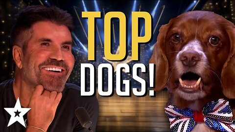 Ep 1: Dogs' Got Talent! The Most ADORABLE and HILARIOUS Dog Auditions EVER!