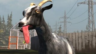 GOAT SIMULATOR! A CABRA MALUCA ATACA NOVAMENTE🤣! TOTOY GAMES @NEWxXx Games #goatsimulator