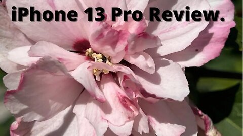 iPhone 13 Pro Review.