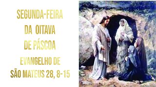 Evangelho da Segunda-feira da Oitava de Páscoa - Ano A Mt 28, 8-15