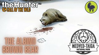 The Albino Brown Bear, Medved Taiga | theHunter: Call of the Wild (PS5 4K)