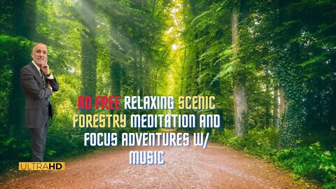 AD FREE Relaxing Scenic Forestry Meditation & Focus Adventures w Music