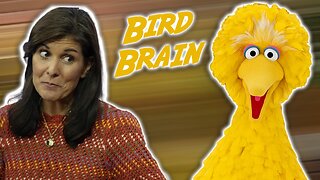 Bird Brain Nikki