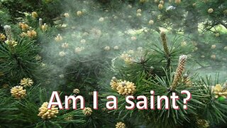 Sermon Only | Am I a saint? | November 1, 2023