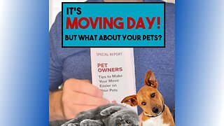 It’s Moving Day! But What About Your Pets?