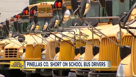 Pinellas Schools looking to hire 100 bus drivers