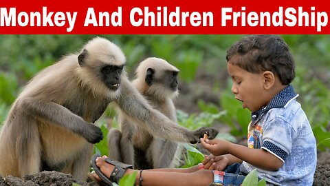 Monkey 🐒 and Children 🙋 Freindship 🤩 #viral #monkey @PawsomeFlix