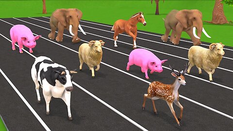 Animals Running Race with Elephant, Horse, Cow, Sheep, Pig, Deer, Zoo Animals