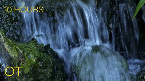 Calming Waterfall over Mossy Rocks | Flowing Water & Atmospheric Sounds | Relax | Study | Sleep