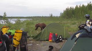 Bear gets too close for comfort for these campers