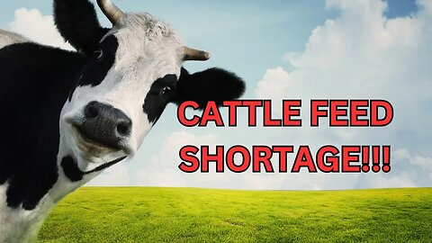 IMPACT FUSION WILL SOLVE THE CATTLE FEED SHORTAGE CRISIS!!