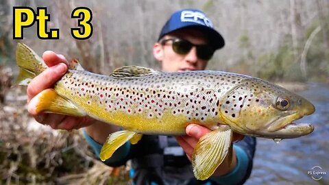 Streamer Fishing for Brown Trout! (ULTRA CLEAR WATER) || North Georgia Trout Pt. 3