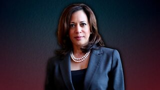 Illegal Immigrant SHREDS Kamala Harris' lies about the border #shorts