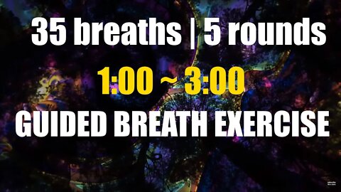 5 rounds Guided Breath Exercise | new voice - 1min to 3min & meditation