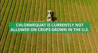 Chlormequat - The Next & Most Dangerous Pesticide Yet Is About To Be Approved By The Criminal EPA
