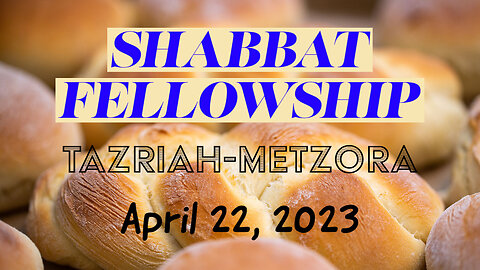 Shabbat Fellowship - Tazria-Metzora - Plus LIVE Q&A (April 22 2023)