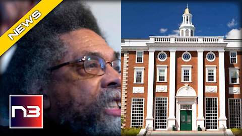 WHOA. Leftist Harvard Professor RESIGNS With BLISTERING Resignation Letter