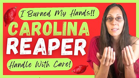 Carolina Reaper Handling Goes Wrong!