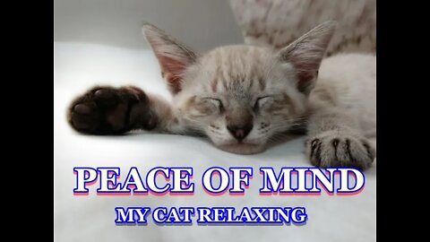 Meditation and Peace of Mind - Relaxing Music - Relaxing and Meditating #dream